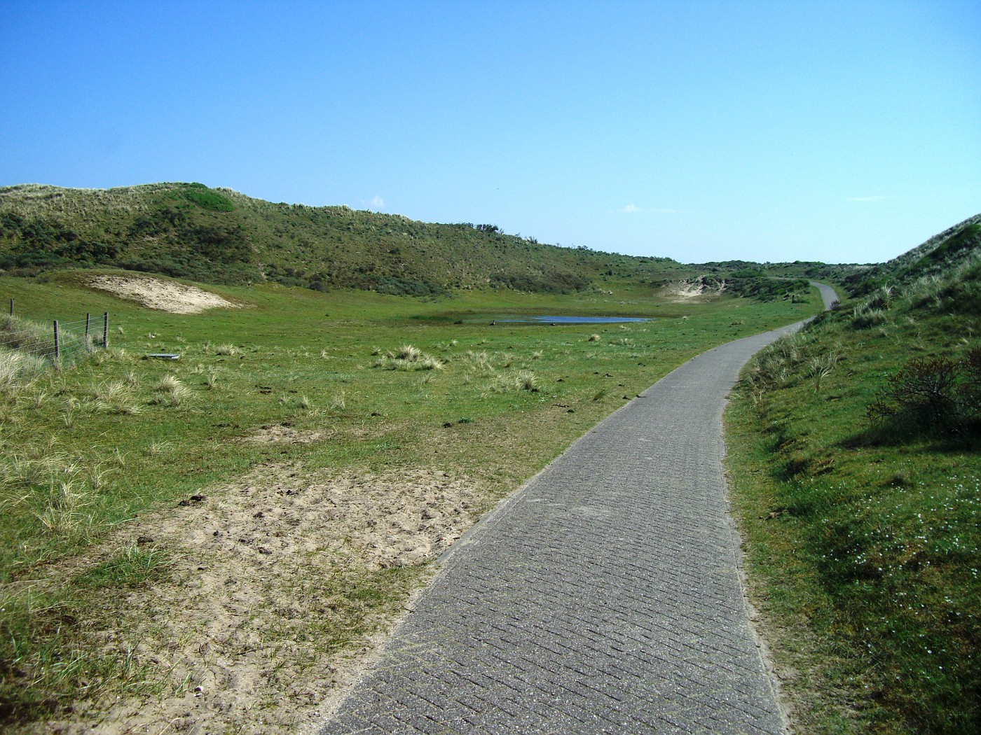 Cycle track in Zuid Holland